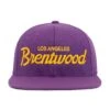 Brentwood Lakers Snapback Hat
